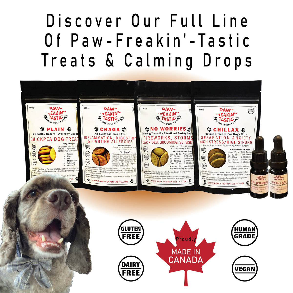 Chaga Dog Treats
