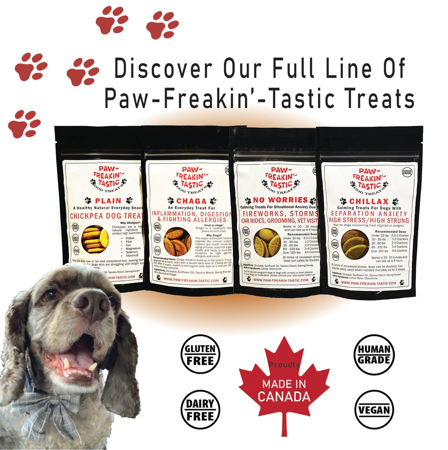 Chaga Dog Treats