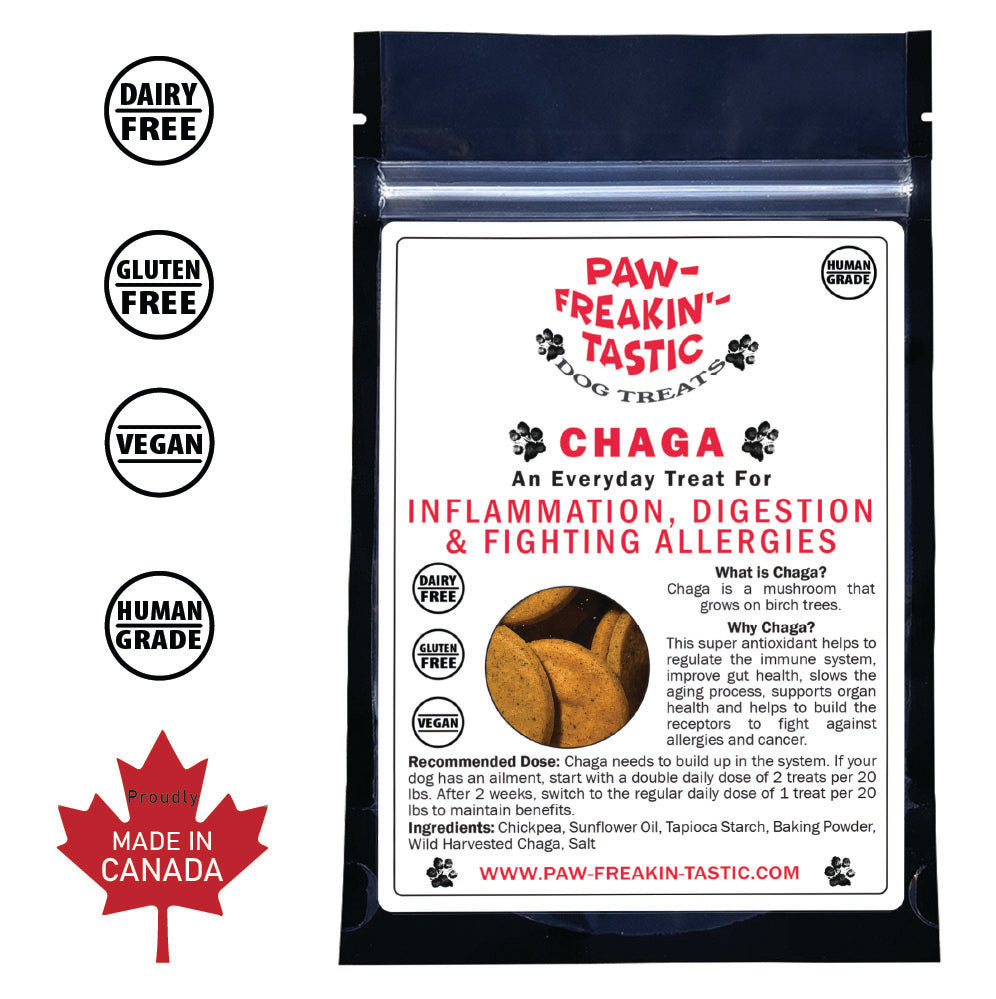 Chaga Dog Treats